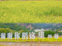 -梵天禅寺
