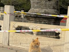 -潭柘寺景区