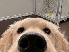 -曲氏老北京铜锅涮肉•火锅(不老街店)