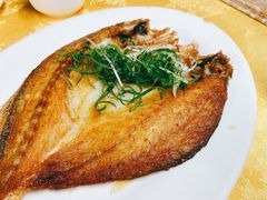 东海黄花鱼（香煎）-海鲜街菜馆(海珠南路店)