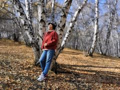 -乌兰布统景区-白桦林