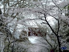 -鸡鸣寺