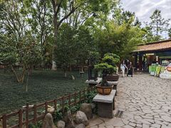 -翠湖公园