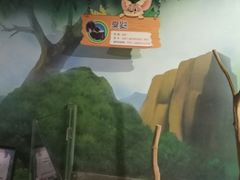 -萌宠奇缘