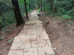 -九曜山