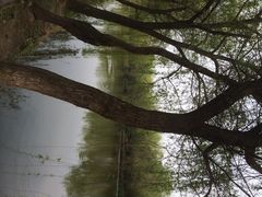 iphone_upload_pic-溱湖国家湿地公园