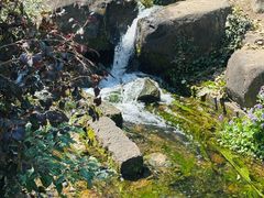 -中国茶叶博物馆(双峰馆区)
