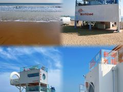 -日照海滨国家森林公园