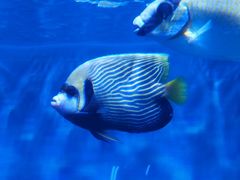 -广州海洋馆