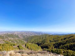 -苏木山森林公园
