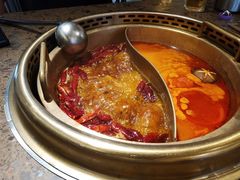 番茄鸳鸯锅-小龙坎老火锅(北京三里屯店)