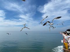 -海驴岛(荣成市)