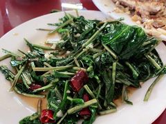 人参菜-北京龙庆四季香农家饭庄·灶台鱼·碳烤虹鳟鱼(龙庆峡店)