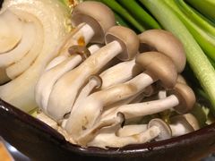 乌冬面小火锅-Hatsuhana Japanese Restaurant