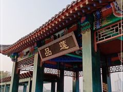 -莲花池公园