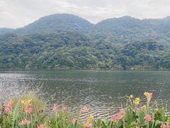 -广州市石门国家森林公园