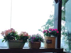 -萨芭蒂高空花园餐酒吧