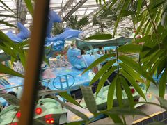 -南宫五洲植物乐园