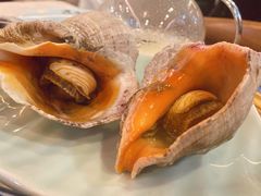 白灼海螺-渔娘渔家丹东海鲜(东直门店)