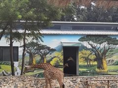 -北京野生动物园