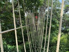 -芦仙山景区-飞越丛林探险乐园