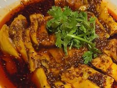 -杨氏青龙虾·羊蝎子(托乐嘉店)