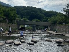 -北仑森林植物园