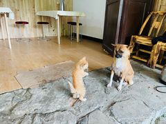 -鹿院坪生态旅游景区