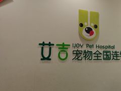 -艾吉宠物医院·疑难杂症转诊中心·猫友好(碧江路院)