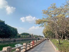 -黄埔荔枝公园