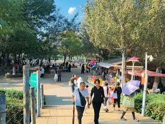 -长白岛森林公园