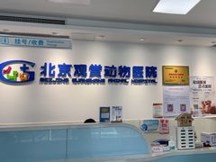 -北京观赏动物医院·24小时大型综合·猫专科·异宠专科