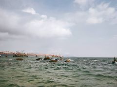 -玫瑰海岸文化旅游度假区