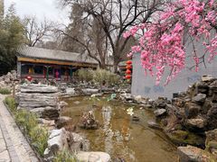 -白家大院·王府宫廷菜(苏州街店)