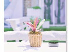 -一杯海(国际海水浴场店)