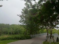 -尚贤河湿地