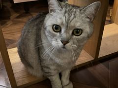 -隅cafe(傅厚岗店)