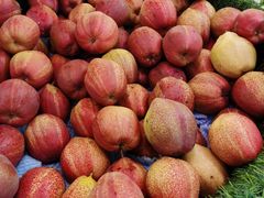 -南宁国际会展中心(会展东博文化旅游区)