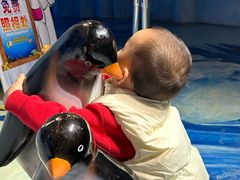 -芜湖新华联大白鲸海洋公园