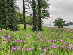 -东钱湖旅游度假区