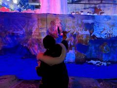 -芜湖新华联大白鲸海洋公园