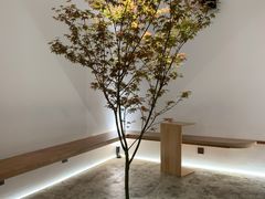 -光作面包Voila Lumiere(中山店)