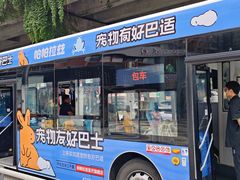 -帕帕拉兹宠物(亚洲旗舰店)