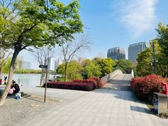 -南翔镇银翔湖公园