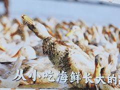 -虎婆冷饮店·海南特色炒冰(三亚湾店)