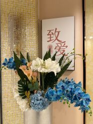 -生命加•Q考拉月子会所(玫瑰园店)