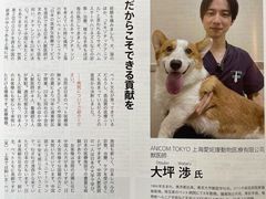 -爱妮康宠物医院·干细胞免疫细胞·肿瘤·心脏(张江店)