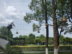 -洪湖家庭农场·团建·露营·会议