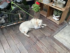 -牛德亨臻牛潮汕火锅(万邦时代店)