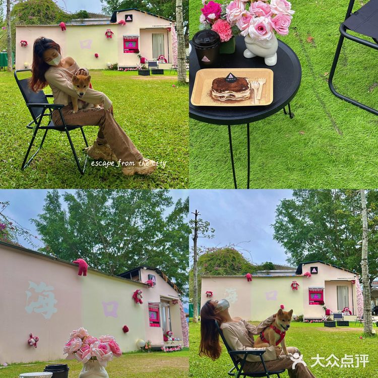 海口宠物友好咖啡店/不卷咖啡